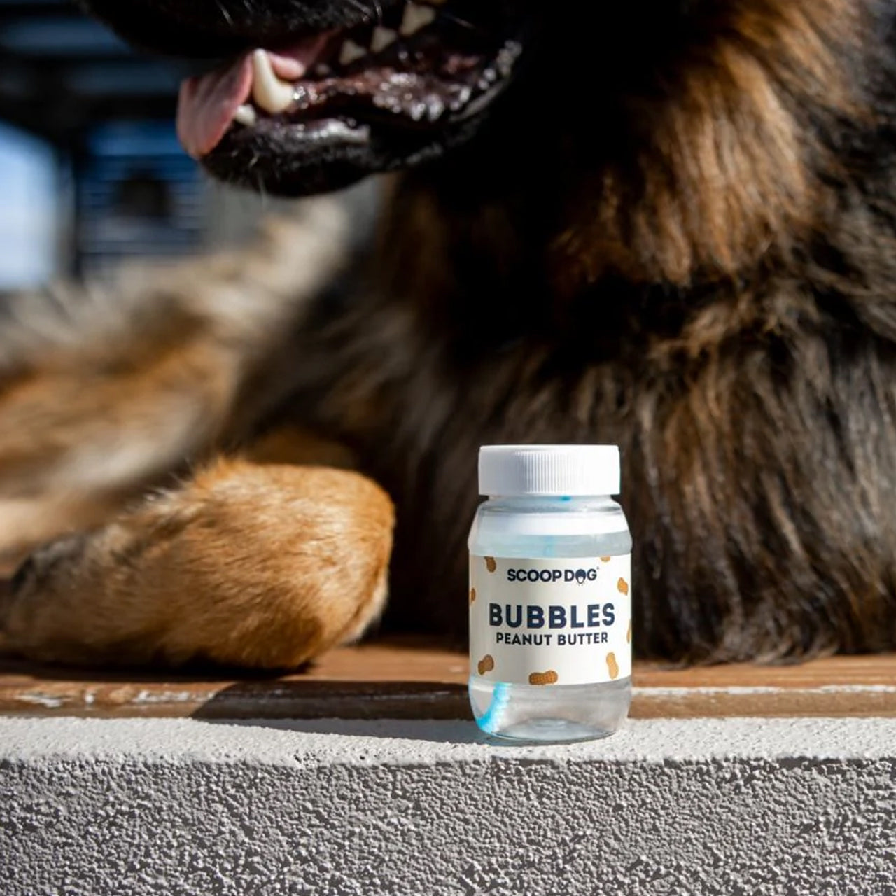 A close-up of a bottle of "Scoop Dog Bubbles Peanut Butter" beside a German Shepherd's paw, showcasing a playful pet treat.