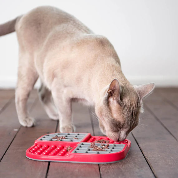 A light-colored cat eats from a red puzzle feeder on a wooden floor, focusing on the scattered food.