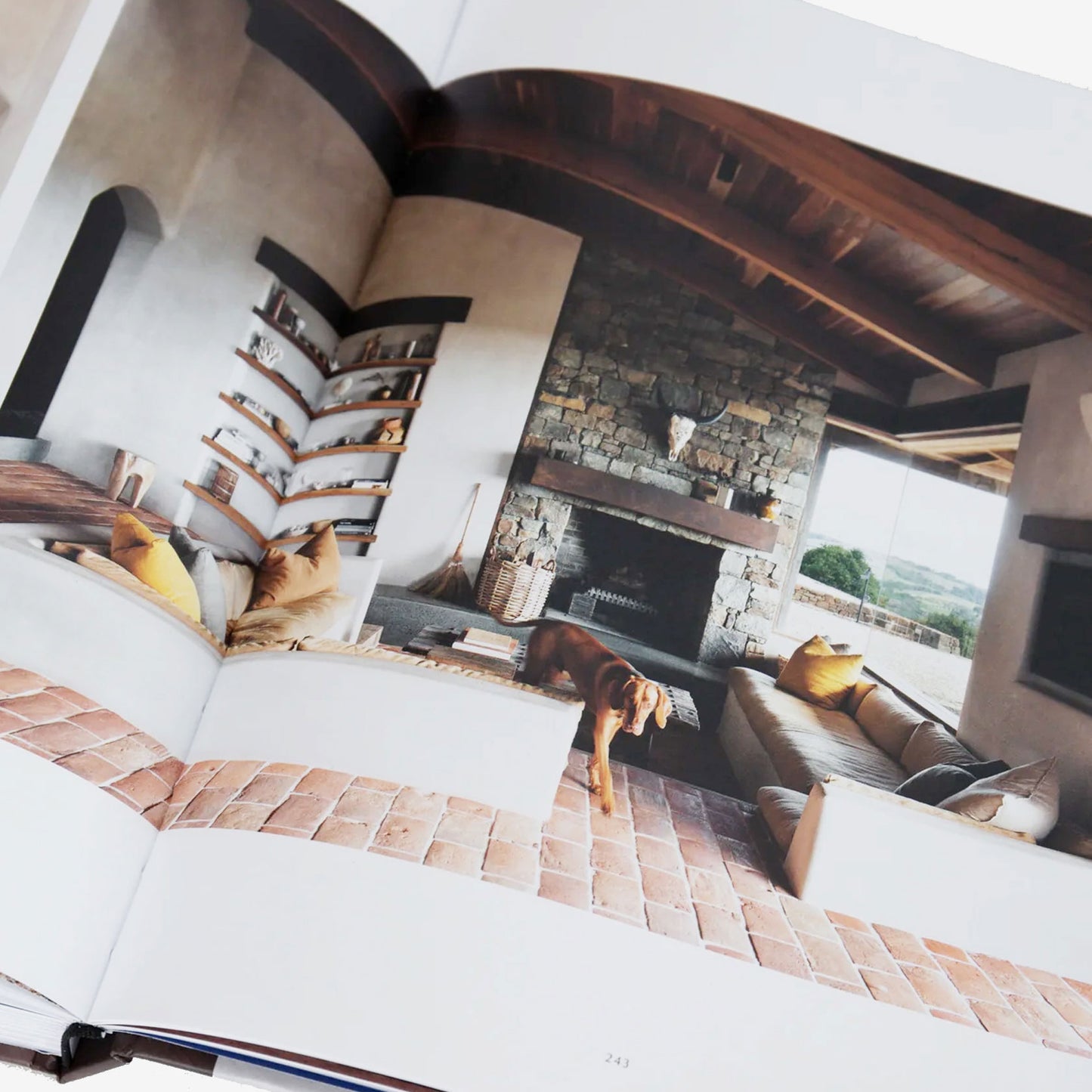 Open book displaying a cozy interior with a fireplace and a dog.