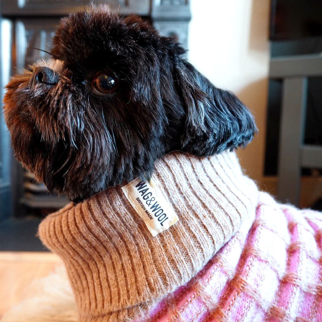 A black dog wearing a beige turtleneck jumper with a "WAG & WOOL" tag.