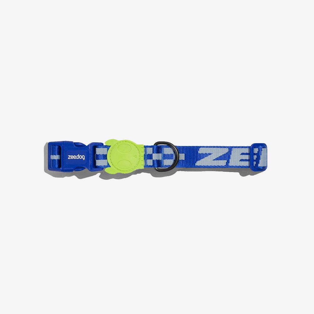 Blue dog collar with neon rubber skull motif and black buckle and "Zee" text, on white background.