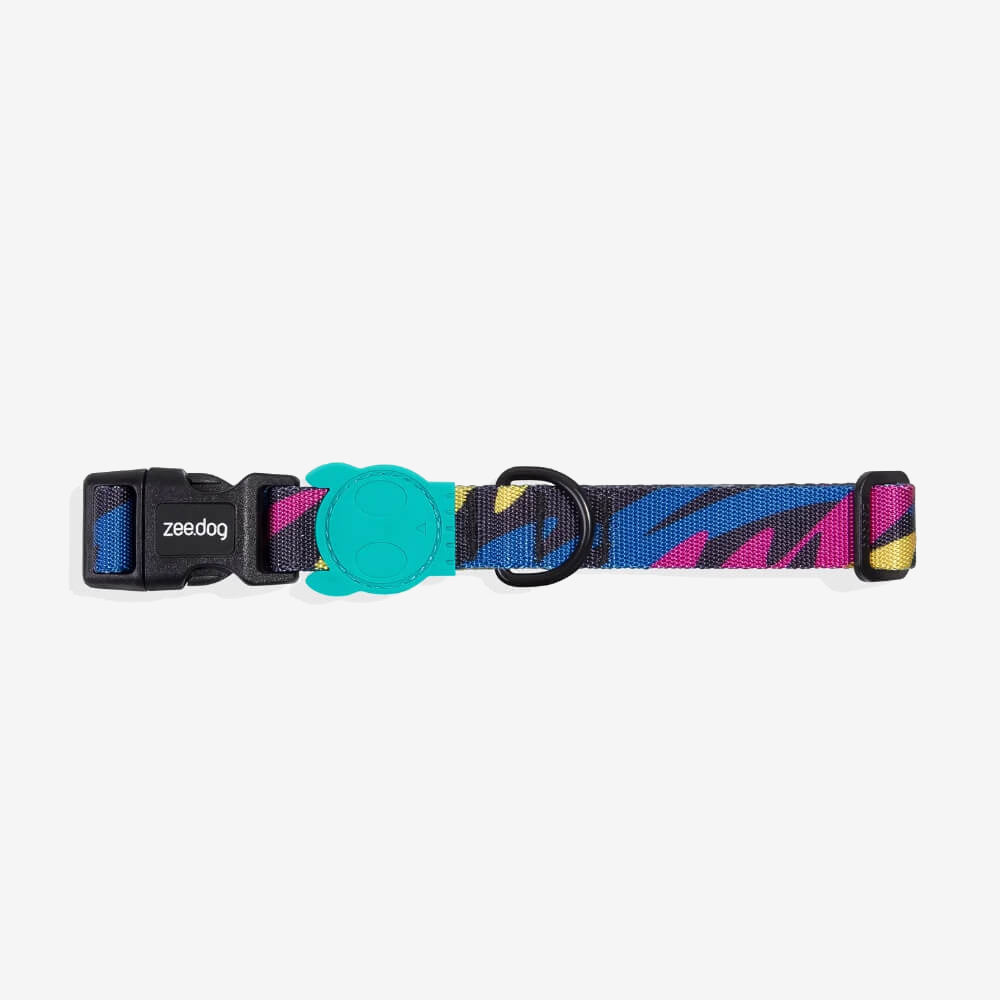 Colourful Zee dog pet collar with a bold zigzag pattern, featuring a black buckle and a turquoise tag for attachment.