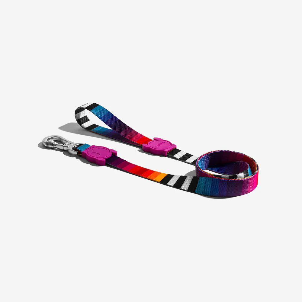 A colourful dog leash featuring vibrant striped patterns and a purple rubber handle, laid flat on a white background.