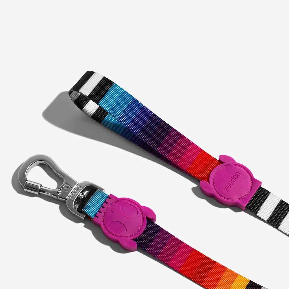 Colourful dog leash featuring a rainbow striped pattern, a sturdy metal clip, and a playful purple rubber handle.