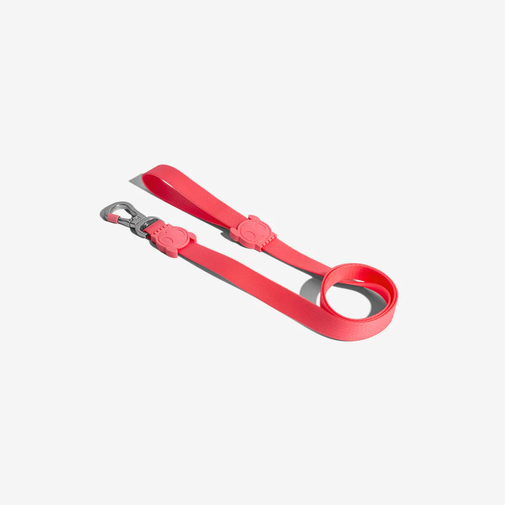 A vibrant pink dog leash with a sturdy metal clasp and decorative rubber detail on the handle. Ideal for pet walking and training.
