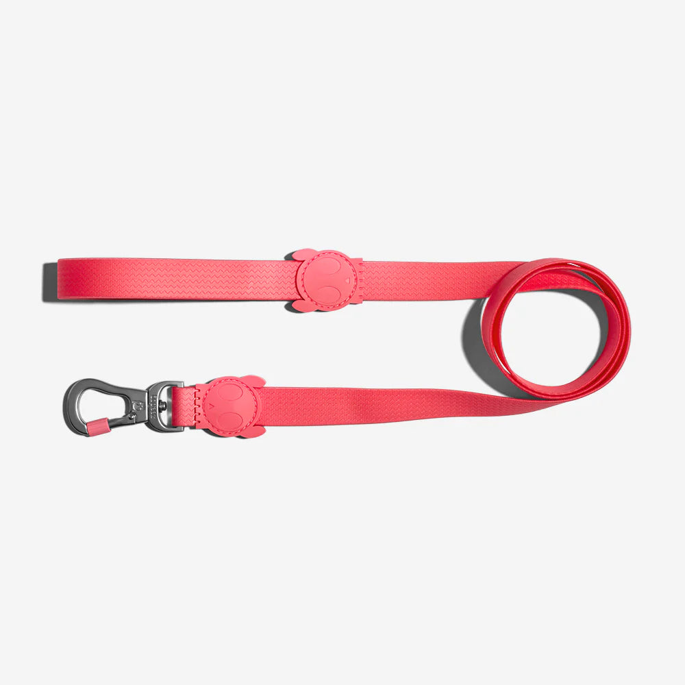 A vibrant pink dog leash with a textured design and a clip featuring a playful skull design at the handle.