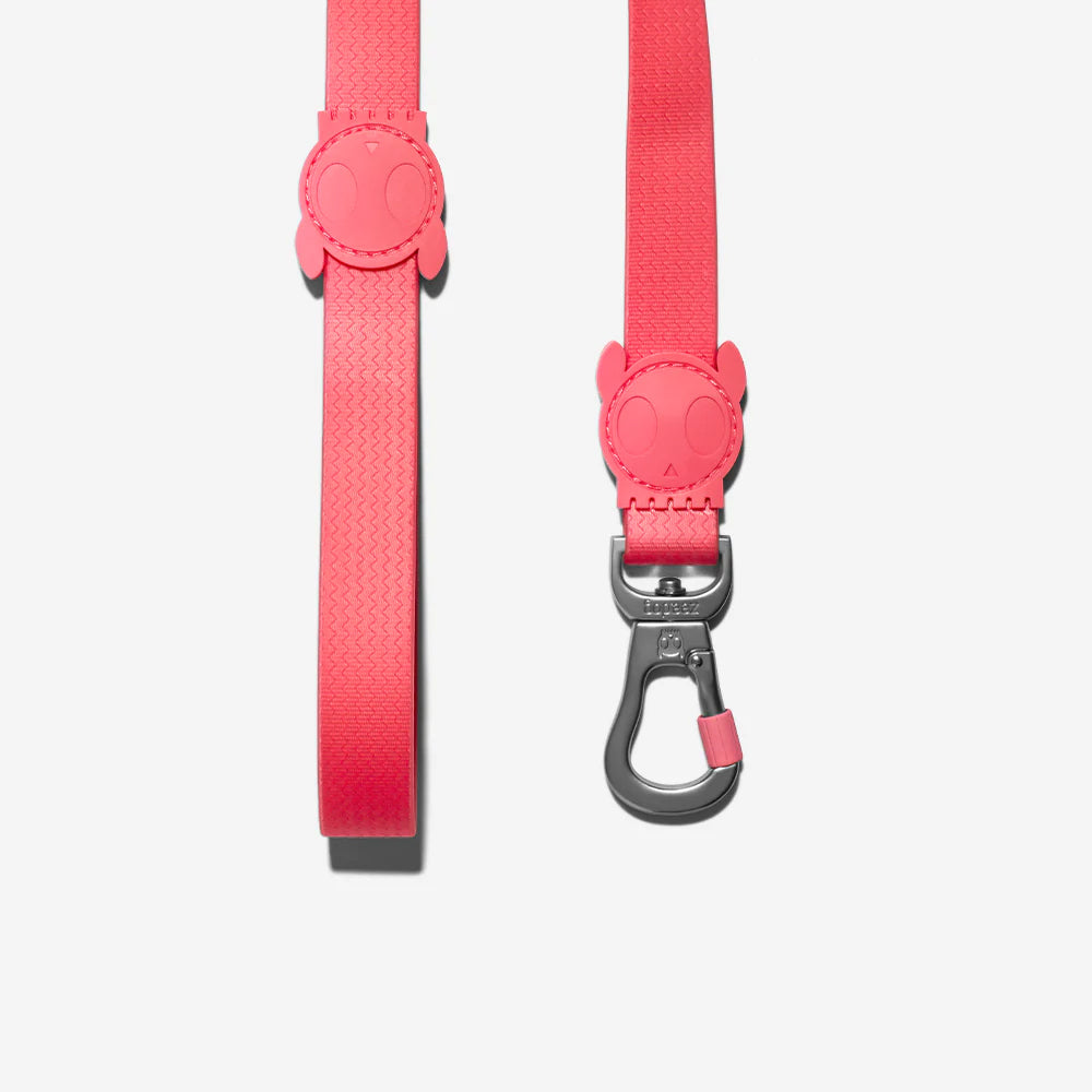 A vibrant pink pet leash featuring a playful skull-and-crossbones design at the handle and a sturdy metal clip for attachment.