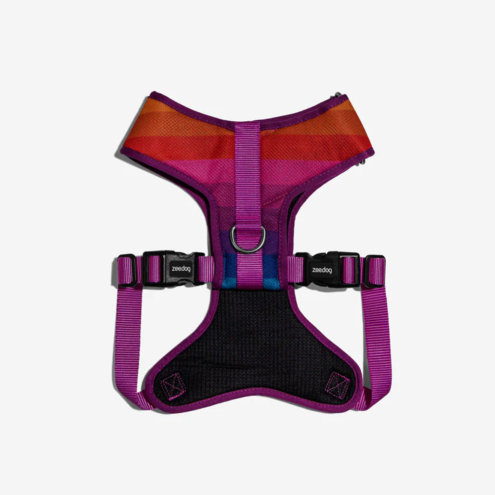 Colourful dog harness on a white background.