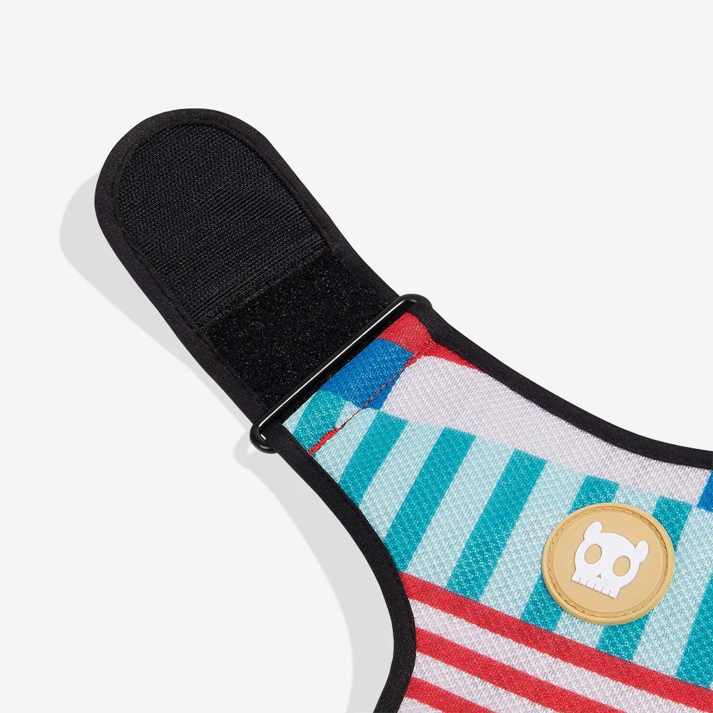 Part of a sandal with colourful stripes and a skull badge on the strap.