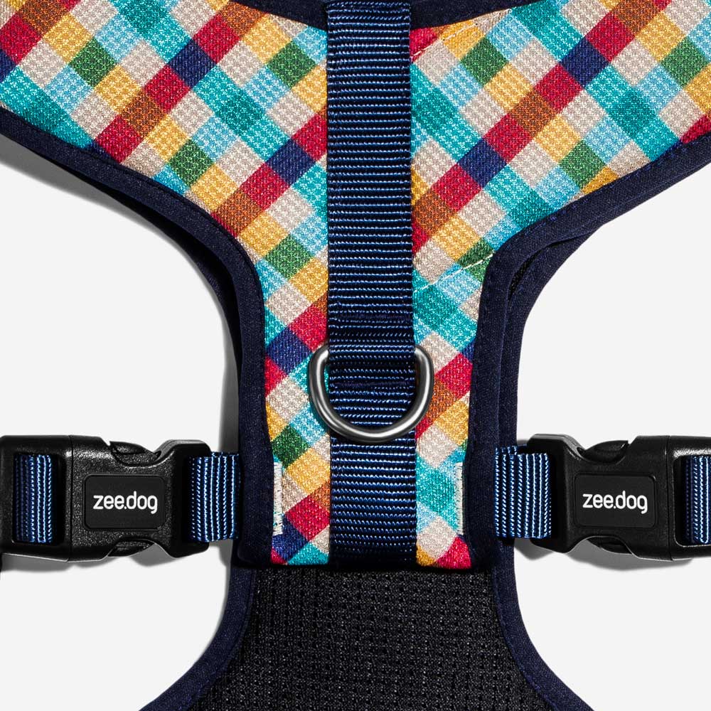 Colourful checkered dog harness with blue strap and black buckles, showcasing the "zee dog" brand.