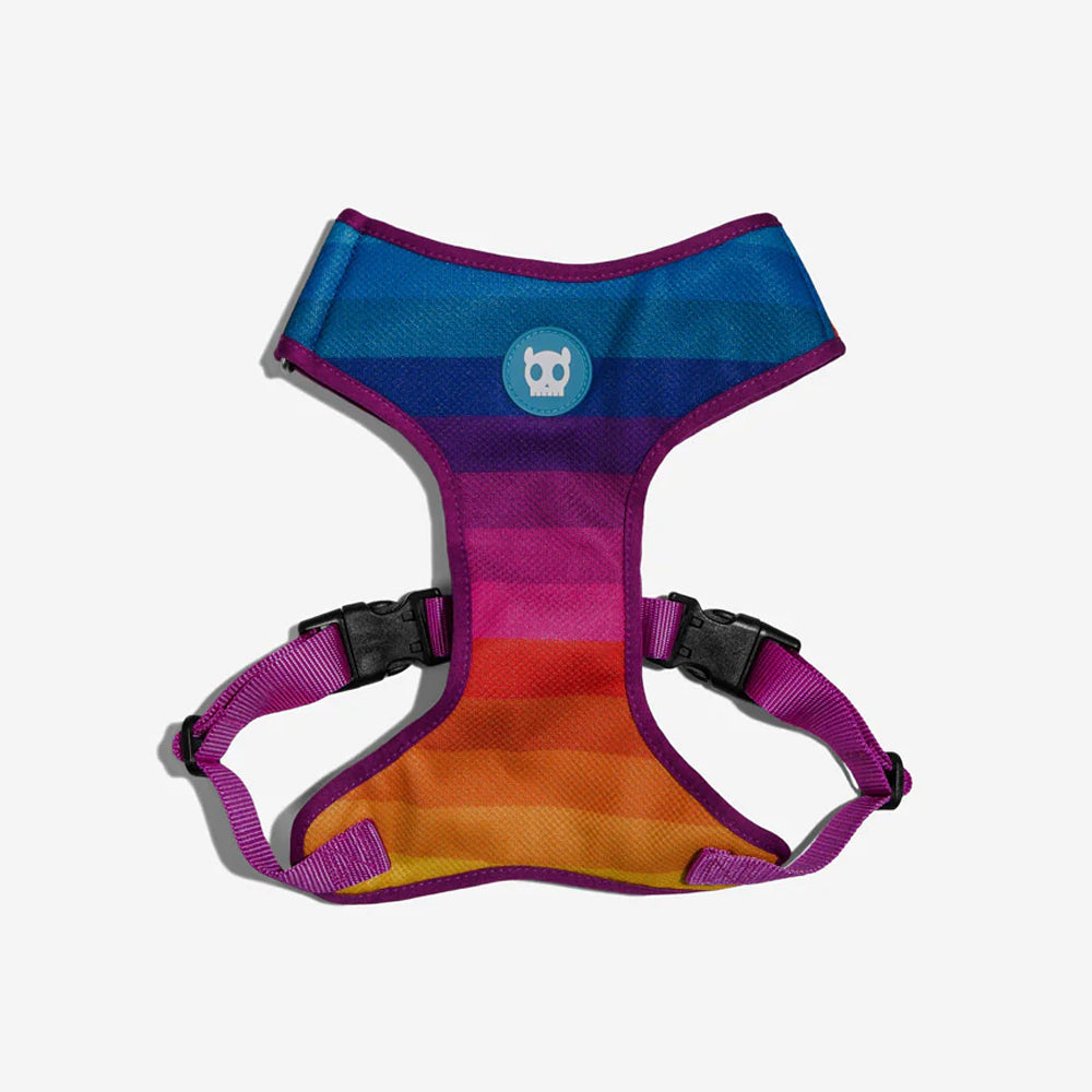 A colourful dog harness with a skull logo and adjustable straps on a white background.
