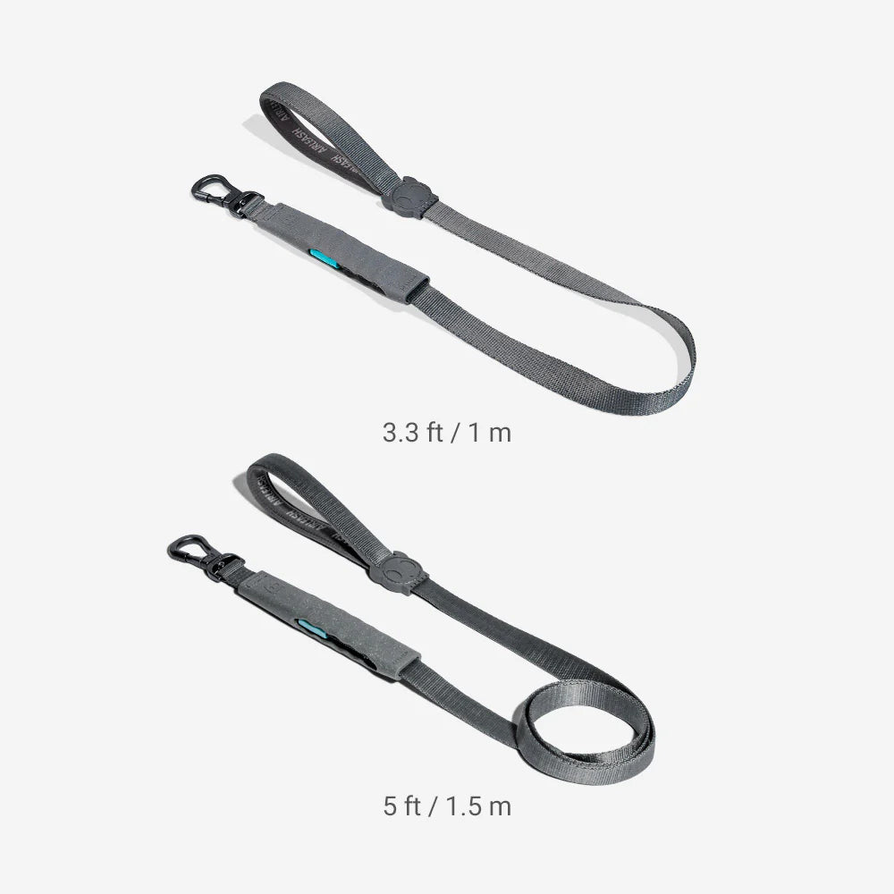 Two different-sized grey dog leashes displayed on a white background, labeled with their lengths.