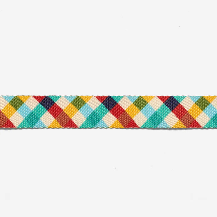 Close up of a Colourful diamond-patterned and textured leash on a white background.