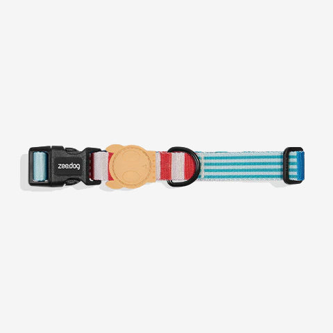 Colourful dog collar with a buckle, featuring blue and red stripes and a leather tag with a dog logo.