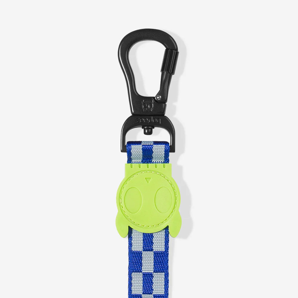 Blue and white checkered dog leash with neon green rubber skull motif and a black hook.