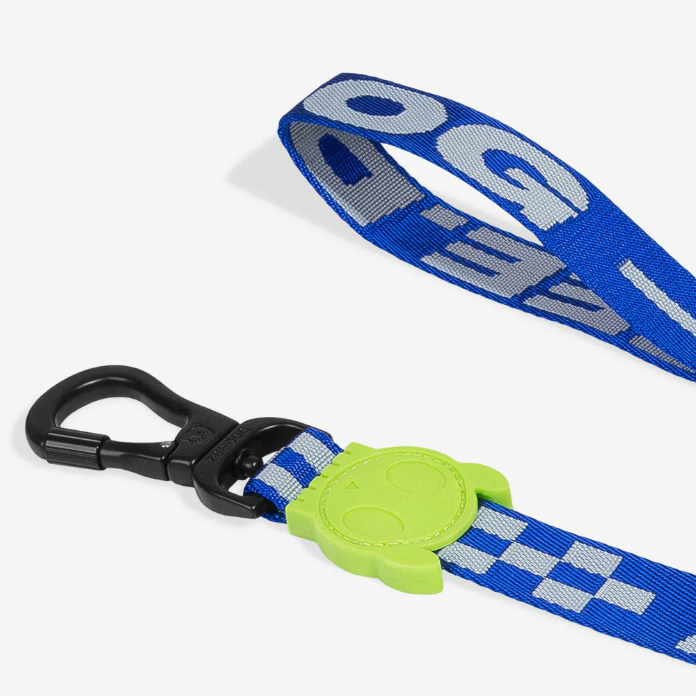 Blue and white checkered dog leash with neon green rubber skull motif and a black hook.