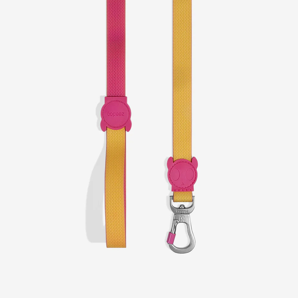 A colourful pet leash featuring a pink and yellow design, with a cute rubber character and a metal clip for attachment.