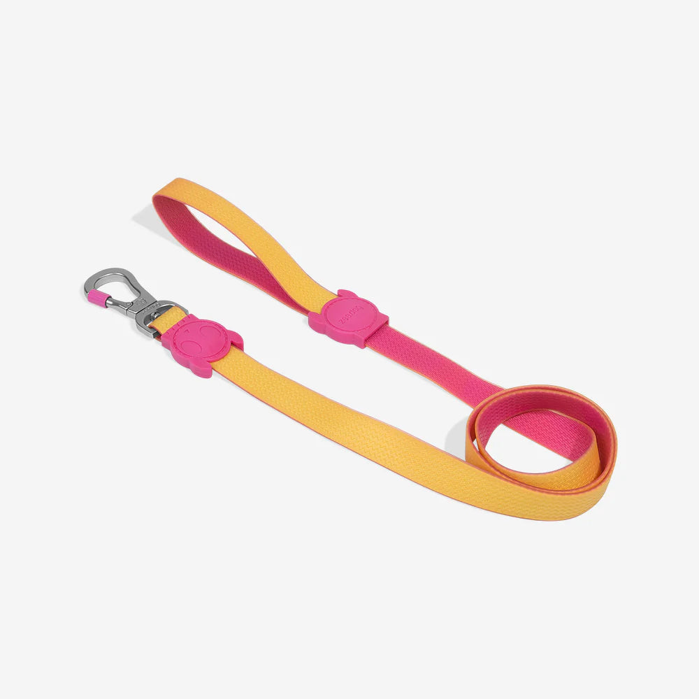 A two-tone pink and yellow dog leash with a metal clip and cheerful design elements, neatly laid out.