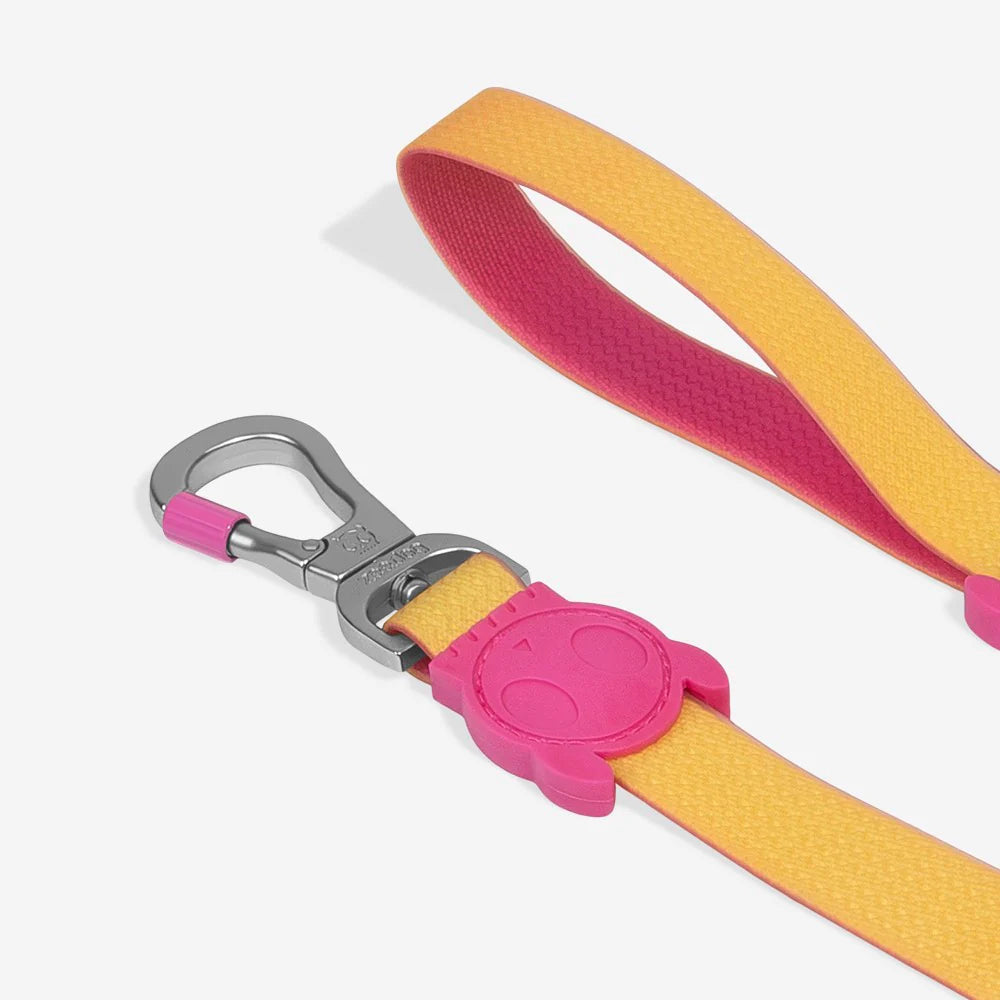 A colourful pet leash with a yellow strap, pink accents, and a metal clip featuring a playful design at the attachment point.