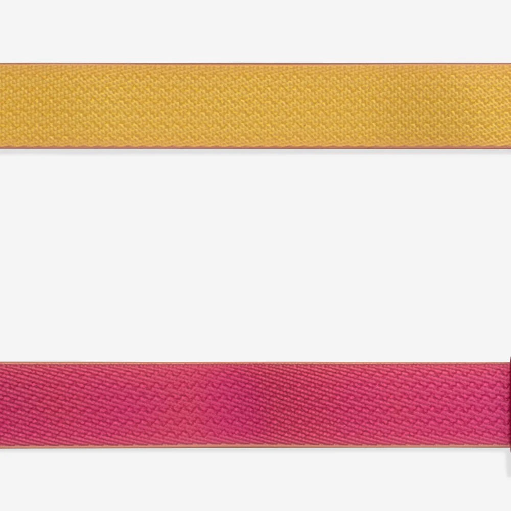 Two woven fabric details of a dog leash shown on a white background: a shiny gold on one side and a vibrant pink ribbon below.
