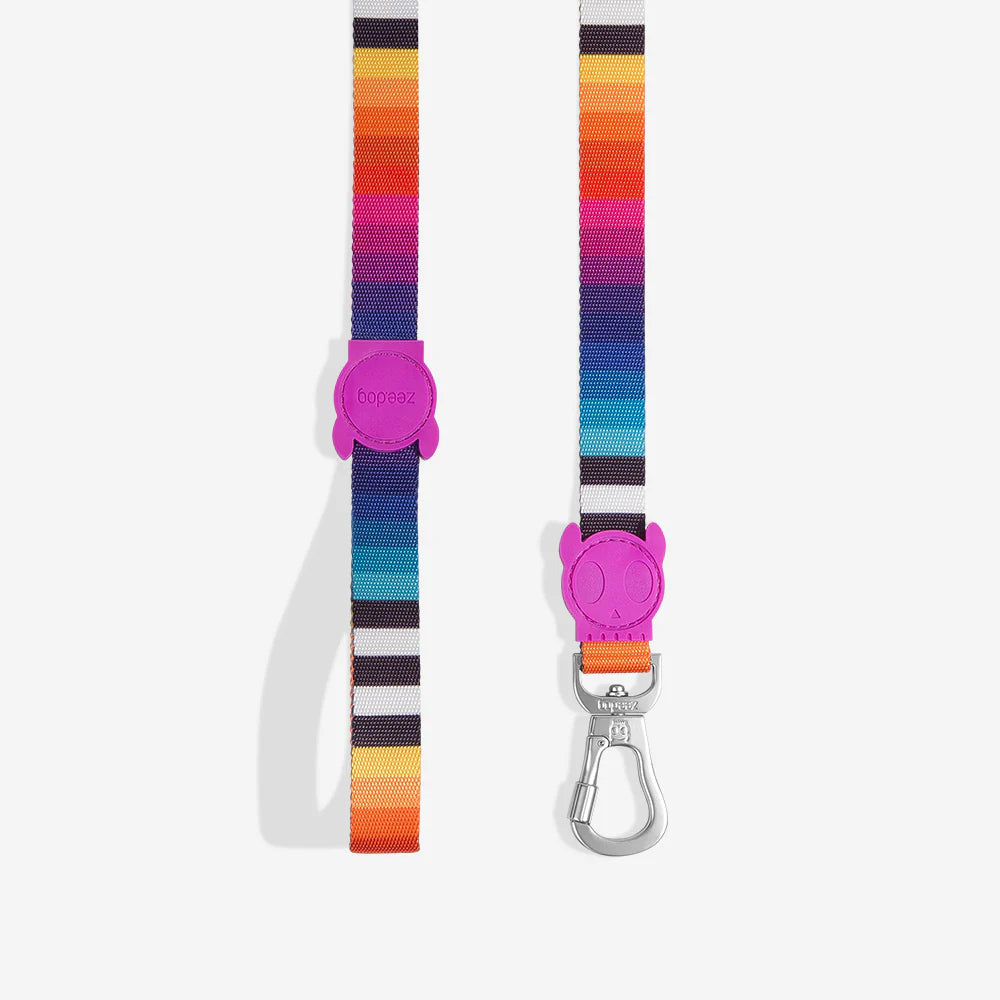Colourful striped pet leash with a purple rubber handle and metal clip for attachment, showcasing vibrant hues of orange, pink, and blue.