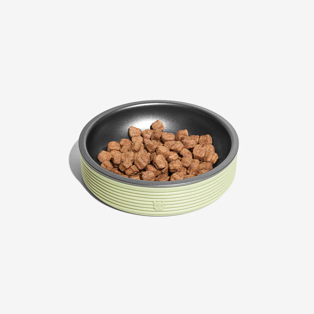 A round pet food bowl with green ribbed exterior holds dry kibble, resting on a white background.
