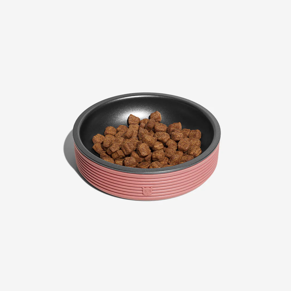 A stylish pet food bowl in pink and black, filled with brown kibble, resting on a white background.