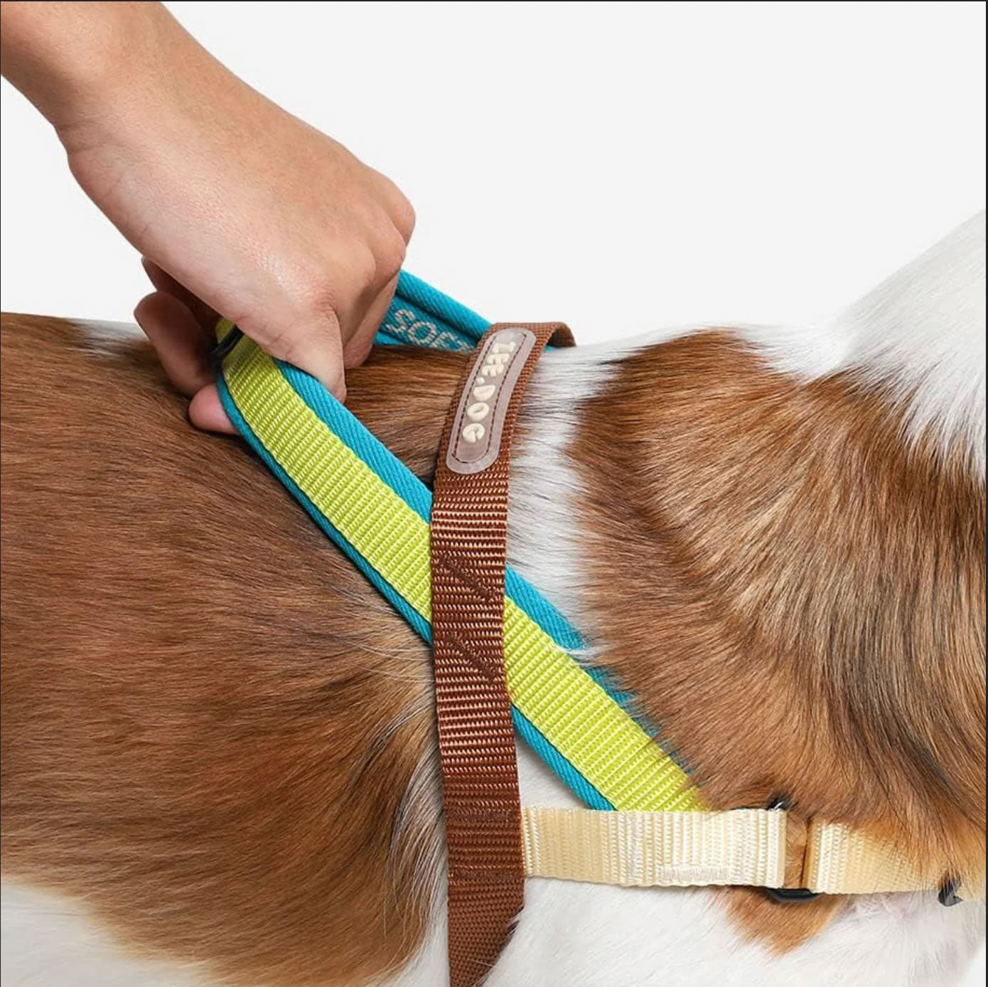 A hand adjusts a colourful soft walker dog harness on a white and brown dog's back.