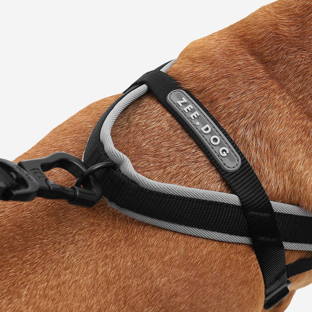 Close-up of a brown dog wearing a black soft walker harness with a grey coloured edging and featuring a rubber branded logo.