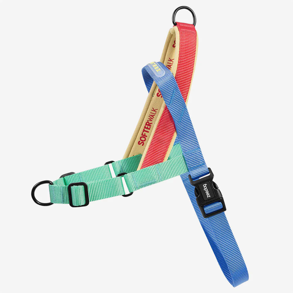 Colourful adjustable pet harness with green, red, and blue straps, featuring D-rings and a sturdy buckle for secure fastening.