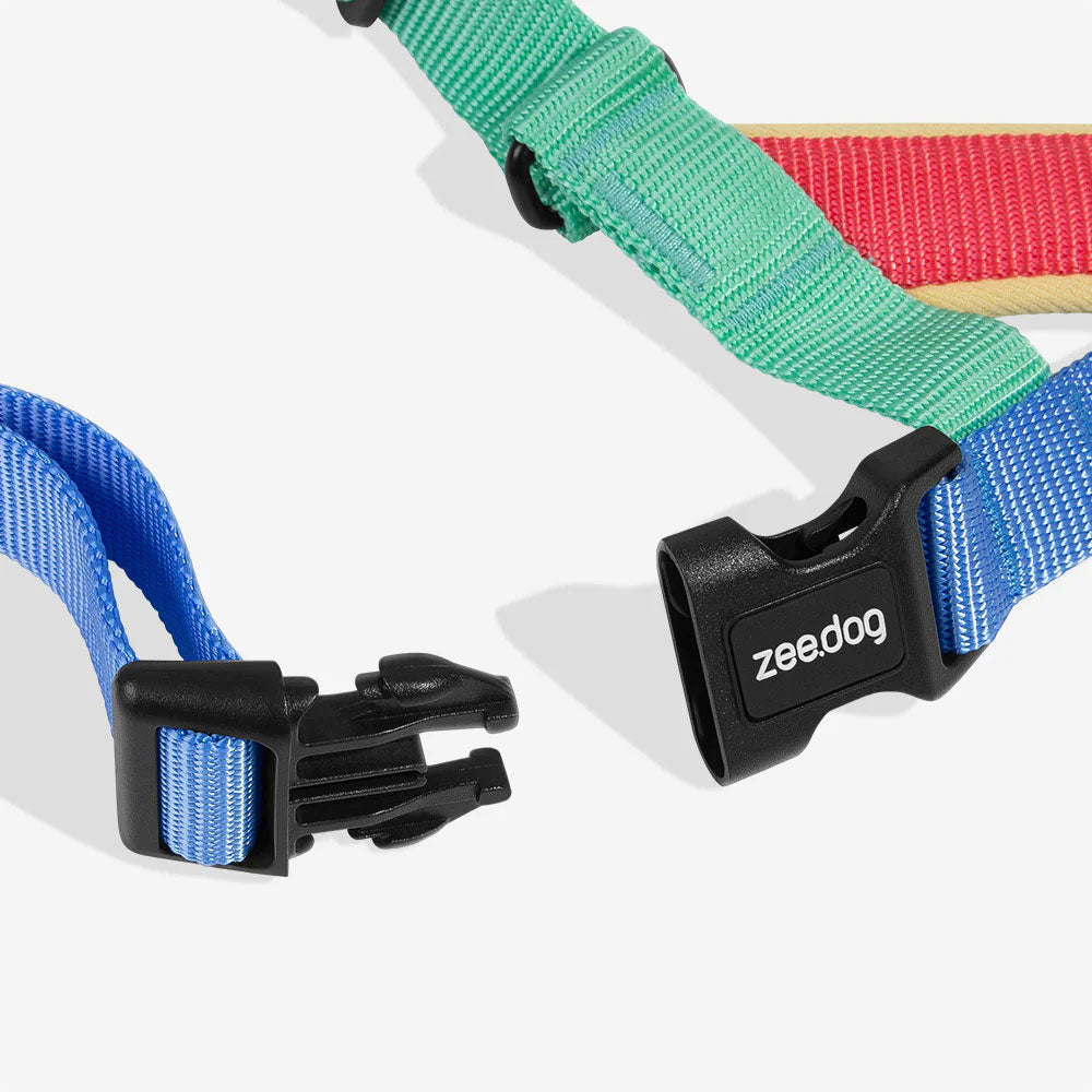 Close-up of colorful dog straps with a black buckle labeled 'zee.dog' on a white background.
