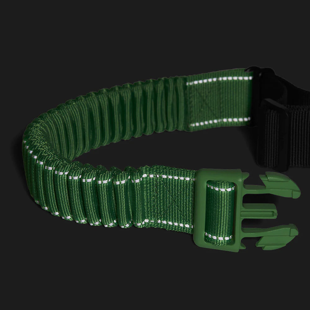 Green elastic strap with reflective stitching and a plastic buckle, against a dark background.