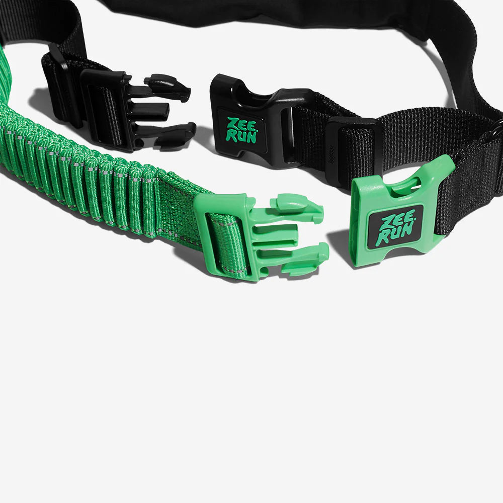 Green and black dog leash with 'ZEE.RUN' logo on buckle and adjustable strap.
