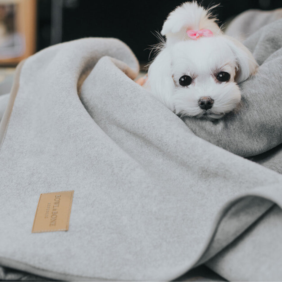 A small white dog with a pink bow on its head peeking out from a cozy gray blanket.