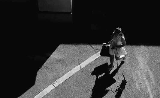 Overhead shot of a woman walking her dog to a luxury hotel — pet-friendly accommodation in Auckland, New Zealand.
