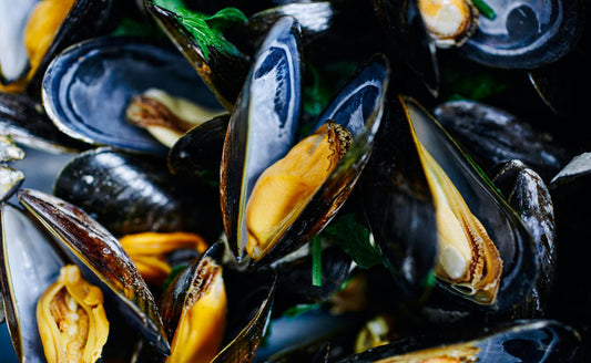 Fresh New Zealand green lipped mussels with golden flesh and dark shells