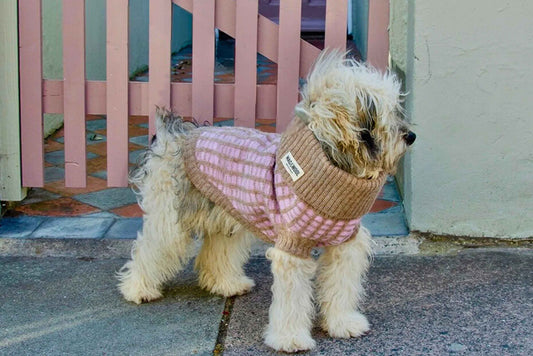 Introducing Wag & Wool: British Lambswool Dog Jumpers, Now Available in NZ
