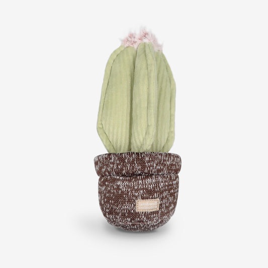 A plush pale green cactus dog toy, with pink fluff at the top sat in a soft brown shaped pot. 