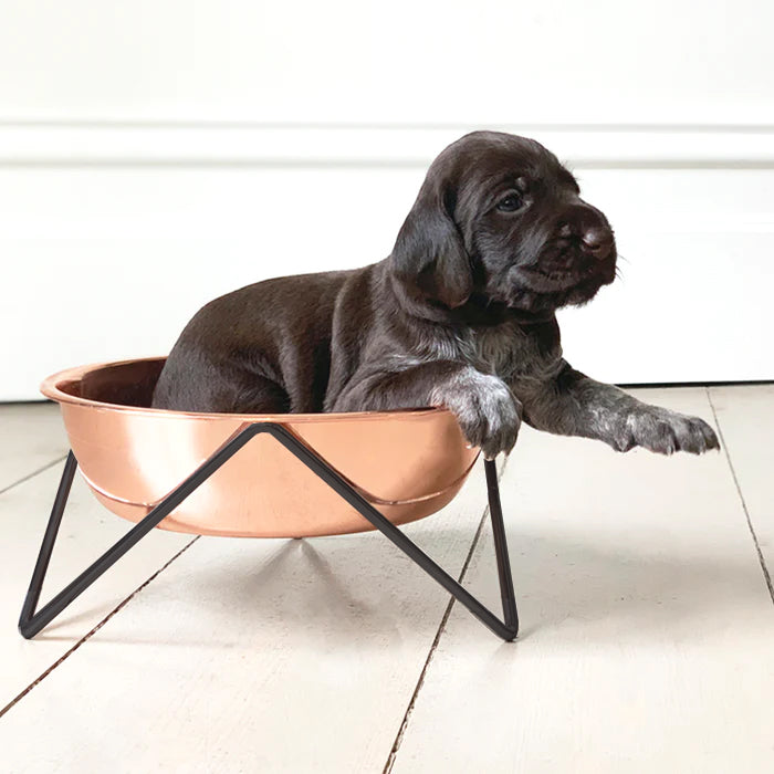 Woof Dog Bowl | Black & Copper