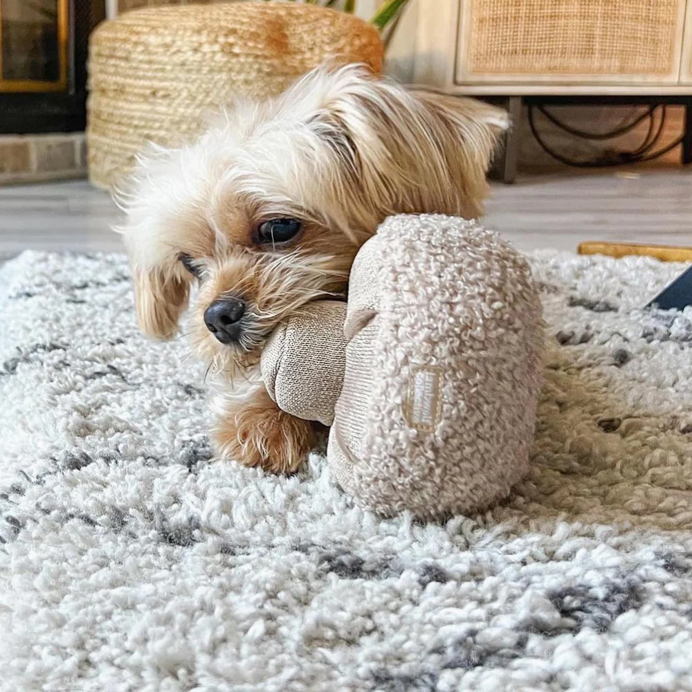 Dog Lying on carpet with lambwolf collective's mushroom snuffle toy.