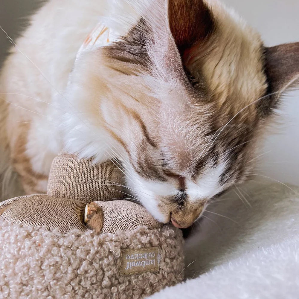 Close up of a cat licking treats out of a snuffle enrichment toy.