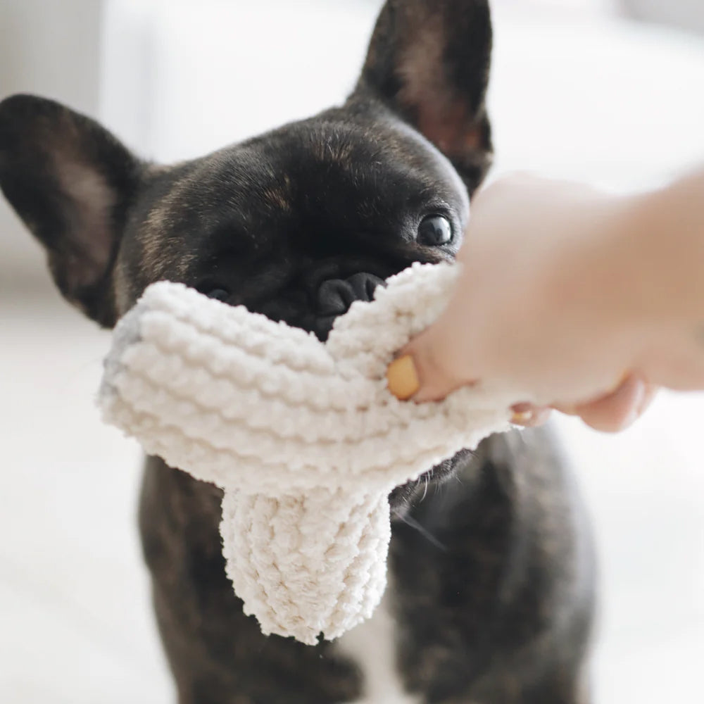 A hand holding up a cream tetrapod shaped plush dog toy. Soft and textured cotton on top of the corduroy fabric, with a black french bulldog in background.