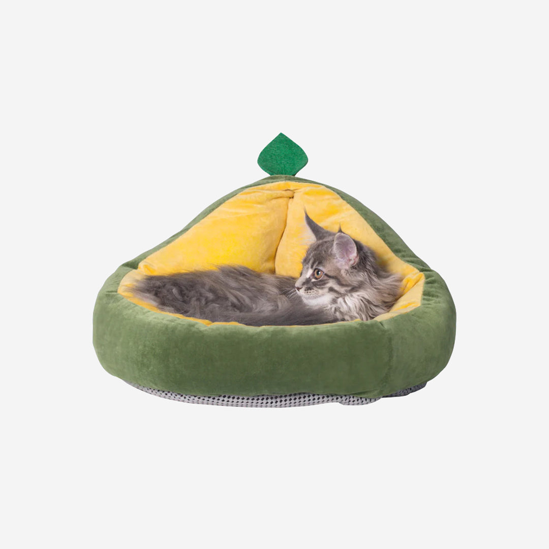 A plush avocado-shaped pet bed with a green outer layer, a brown round cushion inside, and a small green leaf on top.