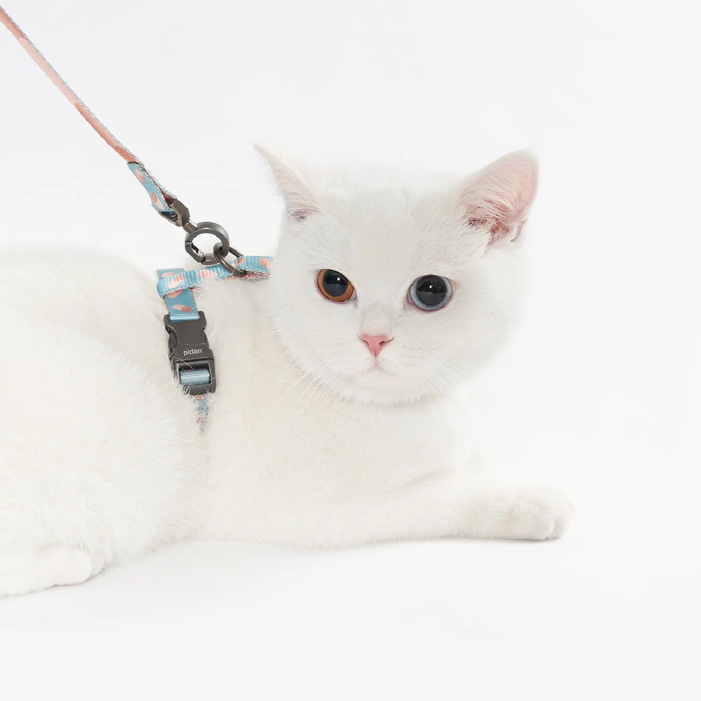 Capsule | Cat Harness & Leash Set