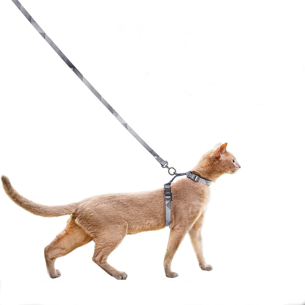 Shadow | Cat Harness & Leash