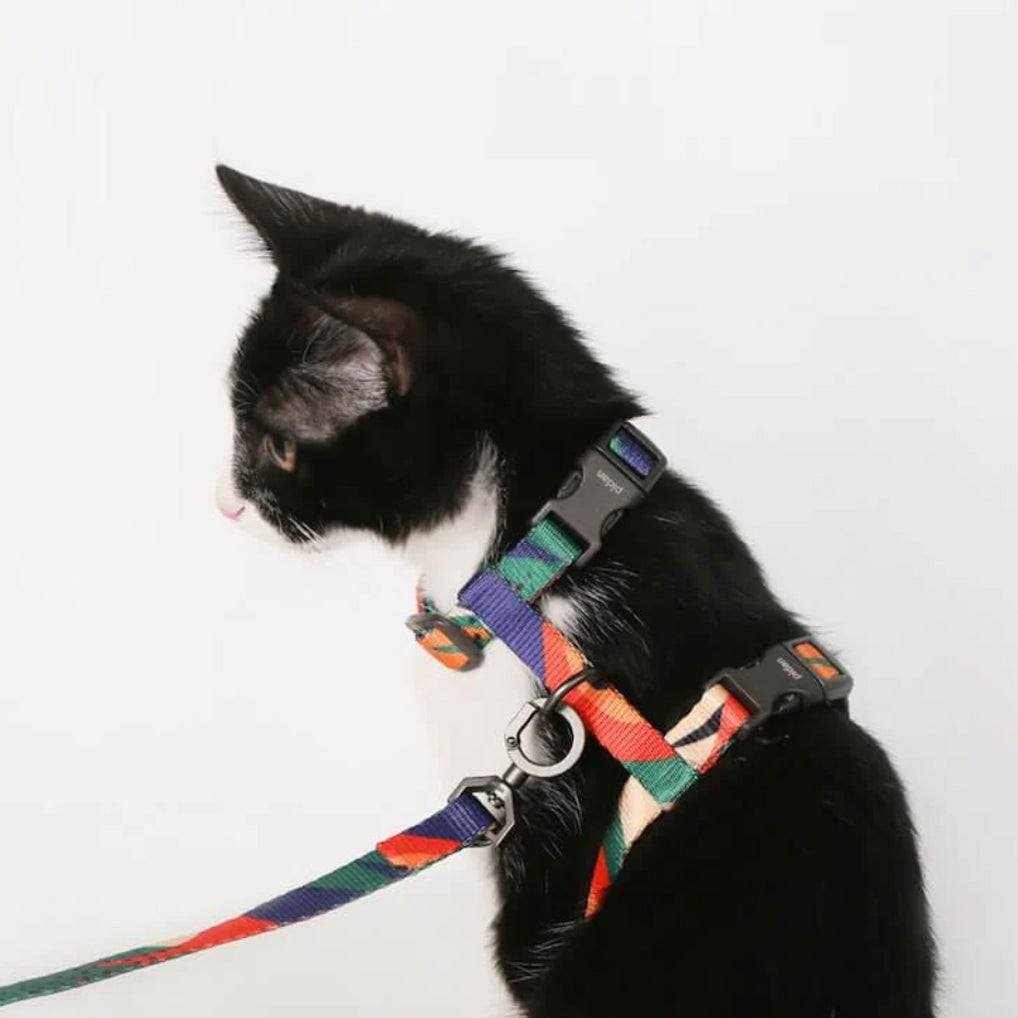 Fauvist | Cat Harness & Leash Set