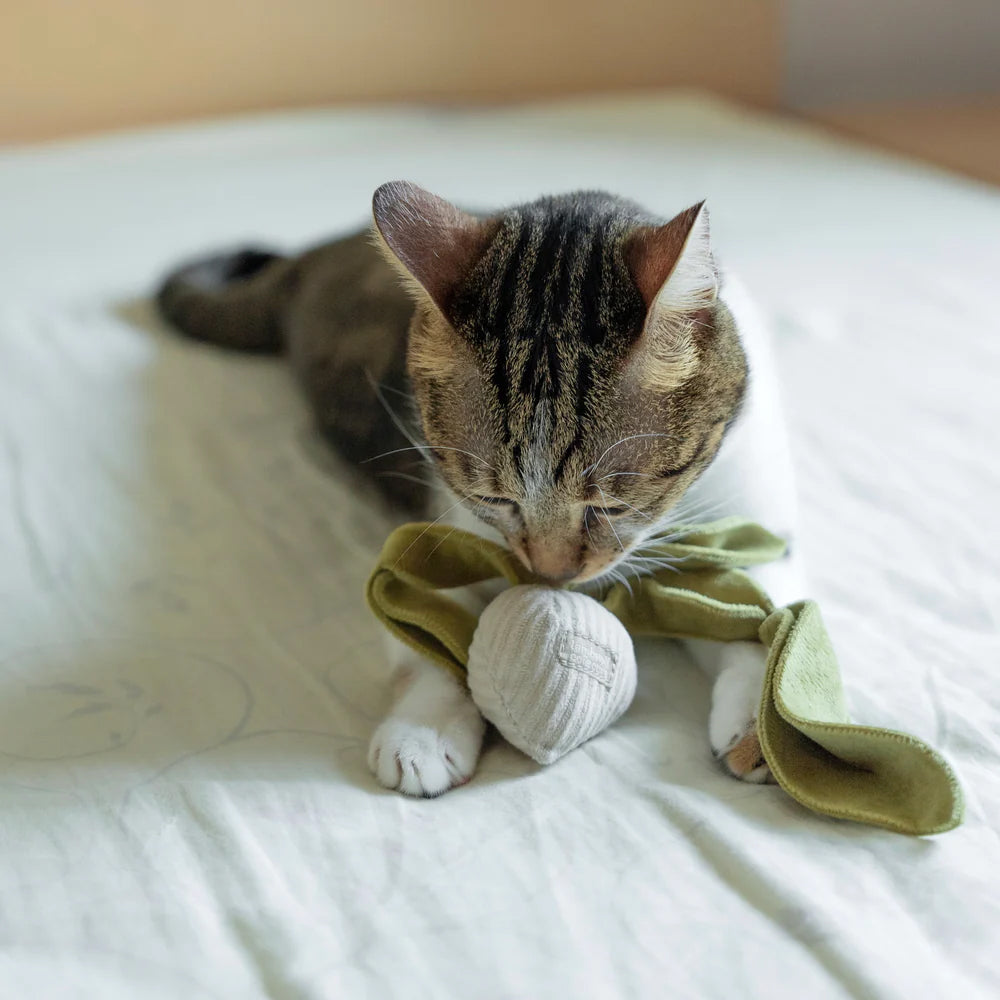 Lambwolf Collective Radish | Small Cat Nip Toy