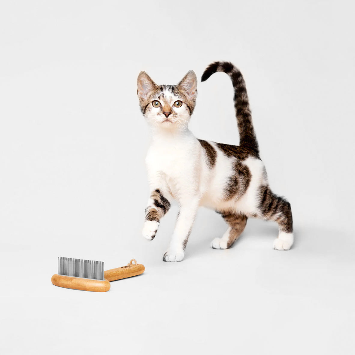 a tabby cat with one paw in the air, standing next to a sustainable bamboo cat rake