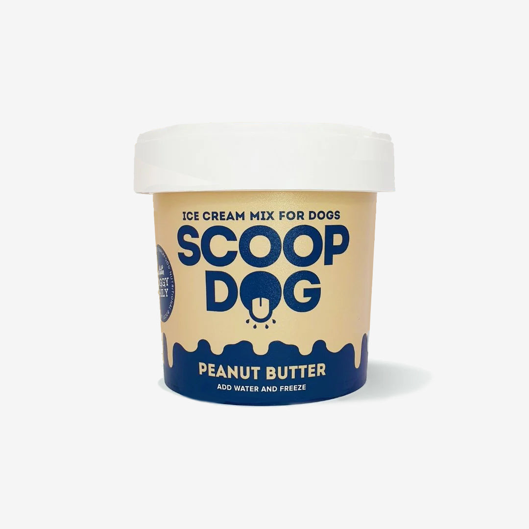 Peanut Butter Ice Cream | 65g