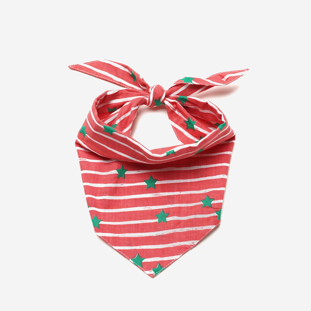 Jingle | Dog Bandana